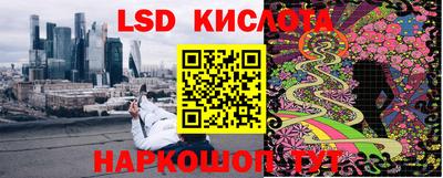 гашик Кулебаки